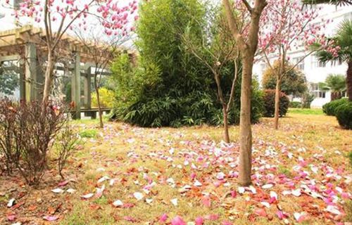 玉環(huán)中等職業(yè)技術(shù)學(xué)校