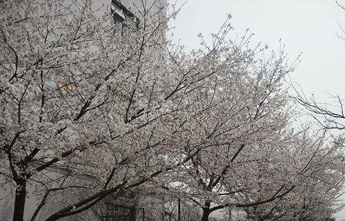 東陽第二職業(yè)技術(shù)學校