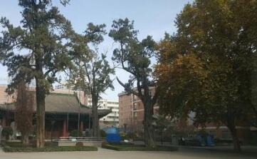 銅川市印臺區(qū)職業(yè)技術(shù)學(xué)校