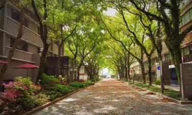 浙江第一高級技工學校