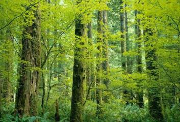 陜西旅游烹飪職業(yè)學(xué)院