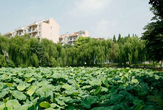 安徽交通職業(yè)技術(shù)學(xué)院