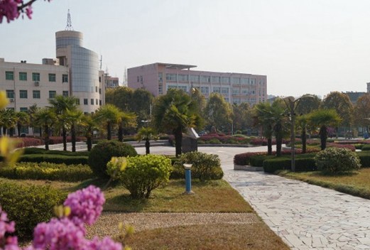 桐城師范高等?？茖W校