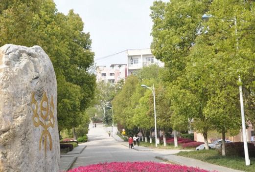 桐城師范高等?？茖W校