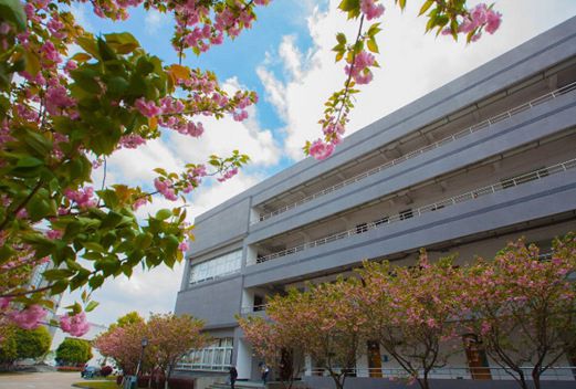 寧波城市職業(yè)技術(shù)學(xué)院