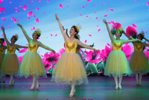 大慶醫(yī)學(xué)高等專科學(xué)校