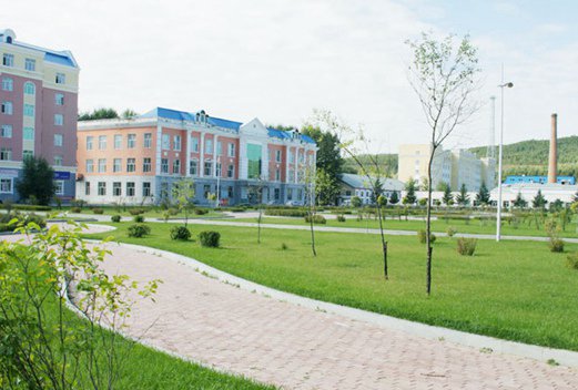 大慶醫(yī)學(xué)高等?？茖W(xué)校