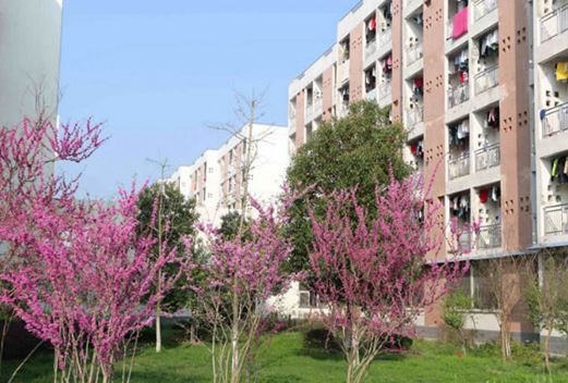 皖西衛(wèi)生職業(yè)學院