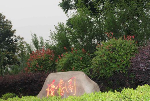 皖西衛(wèi)生職業(yè)學院