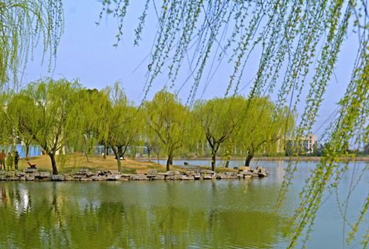 金華職業(yè)技術(shù)學(xué)院