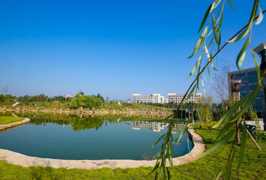 安慶醫(yī)藥高等?？茖W校