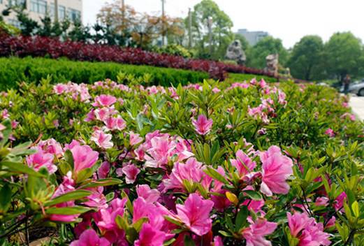 淮南職業(yè)技術(shù)學(xué)院