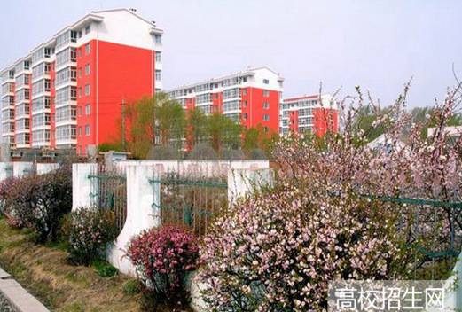 佳木斯職業(yè)學(xué)院