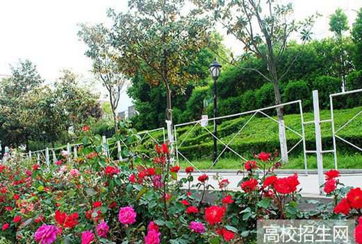 民辦萬博科技職業(yè)學院