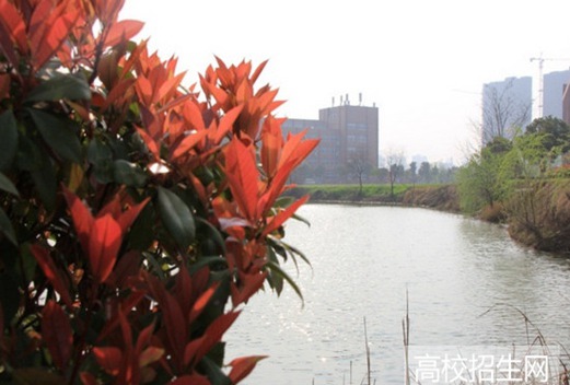 馬鞍山職業(yè)技術(shù)學(xué)院