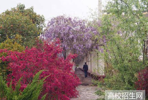 安徽現(xiàn)代信息工程職業(yè)學(xué)院