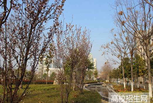 亳州職業(yè)技術(shù)學(xué)院