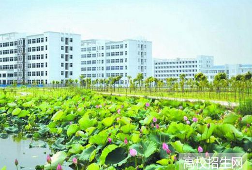 安徽揚子職業(yè)技術(shù)學(xué)院