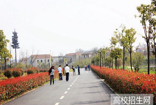 合肥科技職業(yè)學院