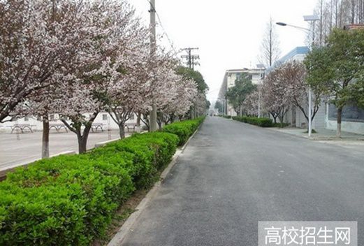 宿州職業(yè)技術學院