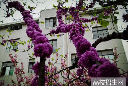 安徽工商職業(yè)學(xué)院