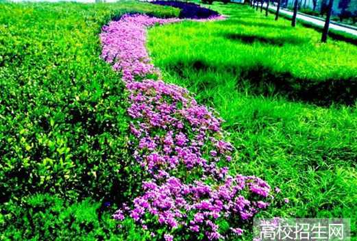 安徽工商職業(yè)學(xué)院