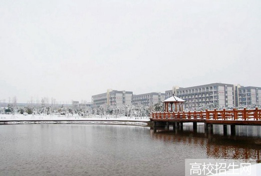 安徽國際商務(wù)職業(yè)學(xué)院