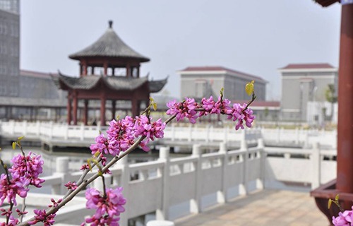 安徽黃梅戲藝術(shù)職業(yè)學(xué)院