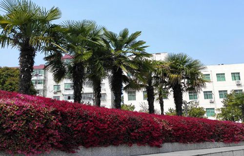 大慶石油管理局衛(wèi)生學(xué)校