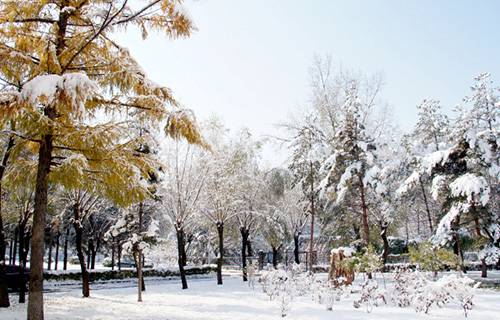 黑龍江林業(yè)職業(yè)技術(shù)學(xué)院