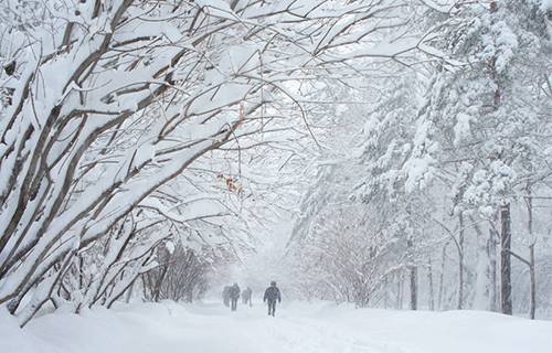黑龍江林業(yè)職業(yè)技術(shù)學(xué)院