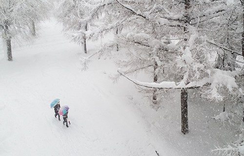黑龍江林業(yè)職業(yè)技術(shù)學(xué)院