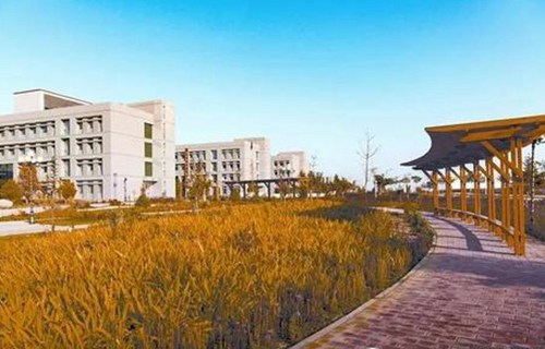 蒙城縣莊周高級職業(yè)中學