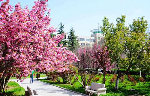 蒙城縣莊周高級職業(yè)中學