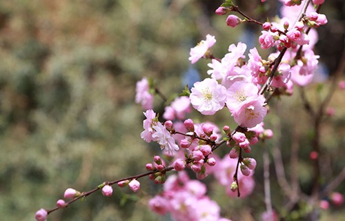 黑龍江司法警官職業(yè)學(xué)院