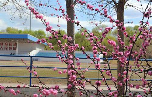 齊齊哈爾理工職業(yè)學(xué)院