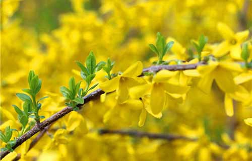 哈爾濱傳媒職業(yè)學(xué)院