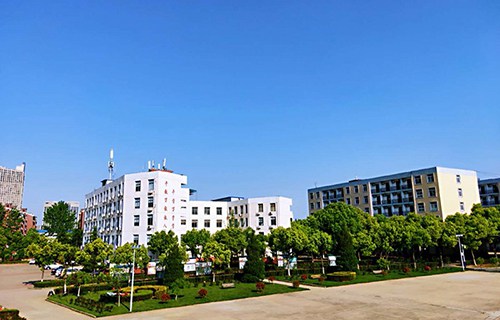 合肥飛躍學(xué)校