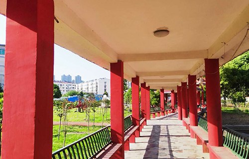 合肥飛躍學(xué)校