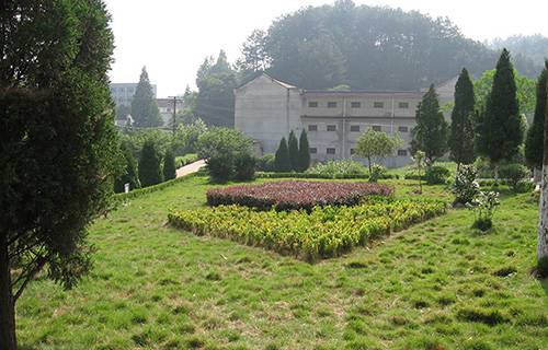 安徽行知學(xué)校