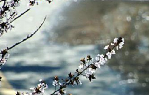 亳州工業(yè)學校