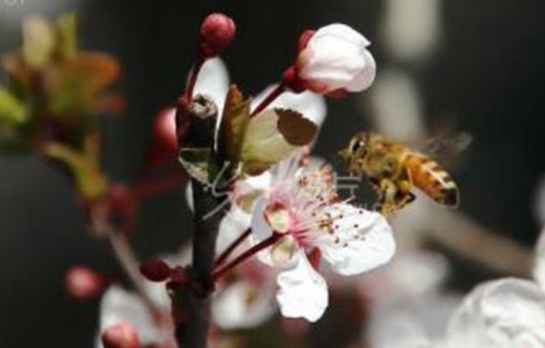 亳州工業(yè)學校