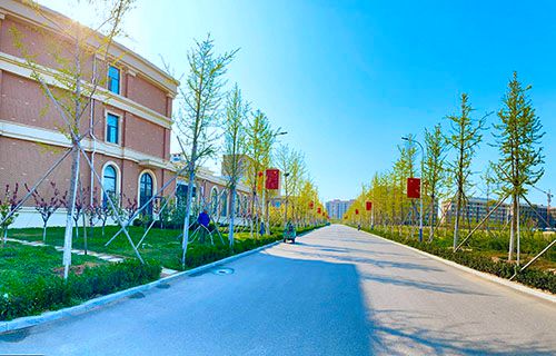 安徽金寨職業(yè)學校