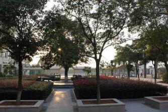 平陽縣武術(shù)學(xué)校