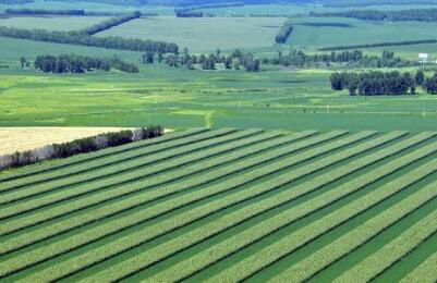 黑龍江農(nóng)墾機(jī)械化學(xué)校