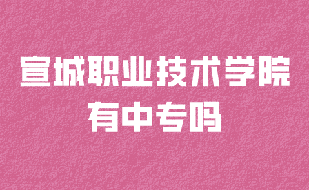 宣城職業(yè)技術(shù)學(xué)院中專