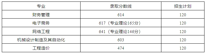 合肥經(jīng)濟(jì)學(xué)院(民辦)2024年對(duì)口招生錄取分?jǐn)?shù)線