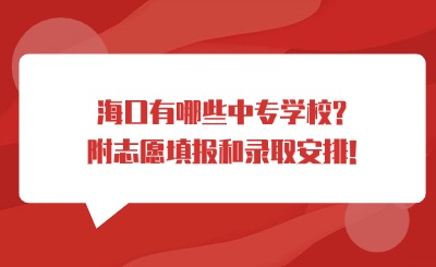 ?？谟心男┲袑W校?附志愿填報和錄取安排!