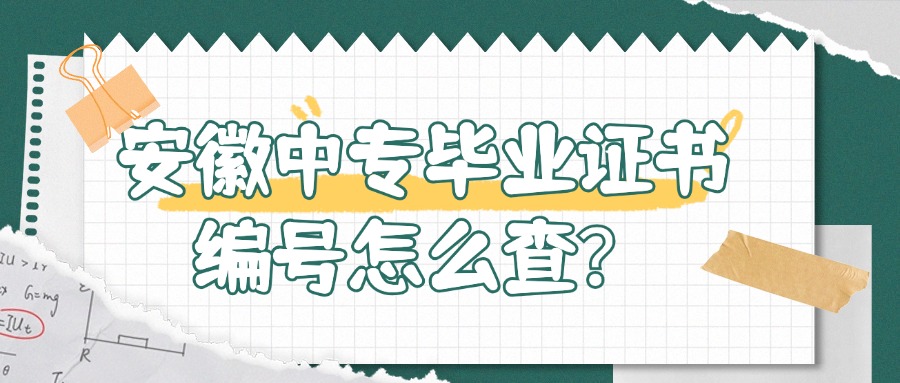安徽中專畢業(yè)證書編號怎么查？